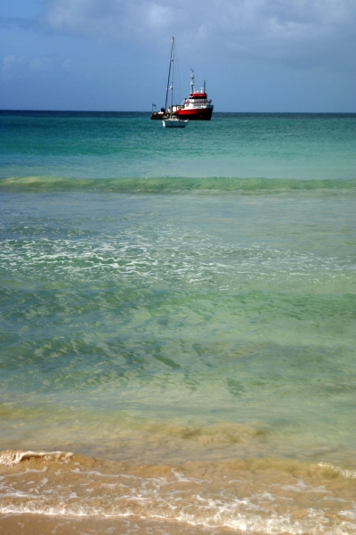 Tobago - Crownspoint (8)