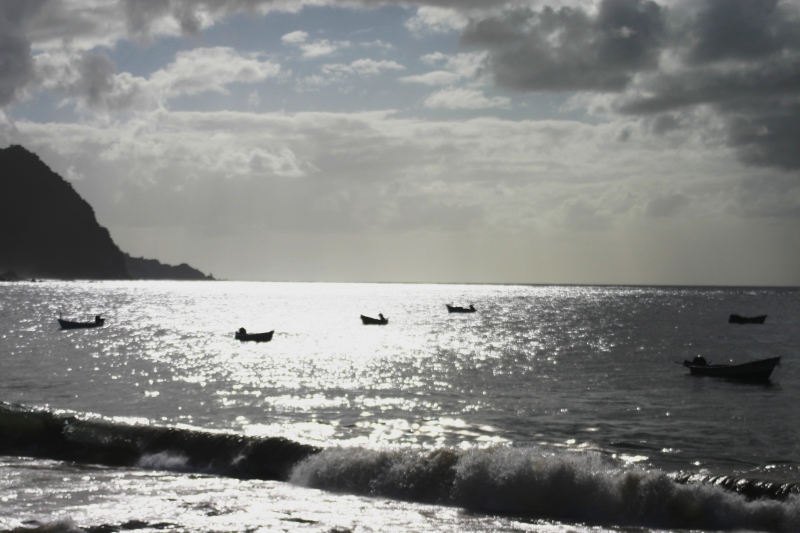 Tobago - in Castara (1)