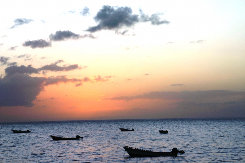 Tobago - in Castara (18)