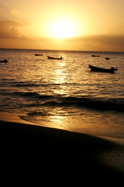 Tobago - in Castara (20)
