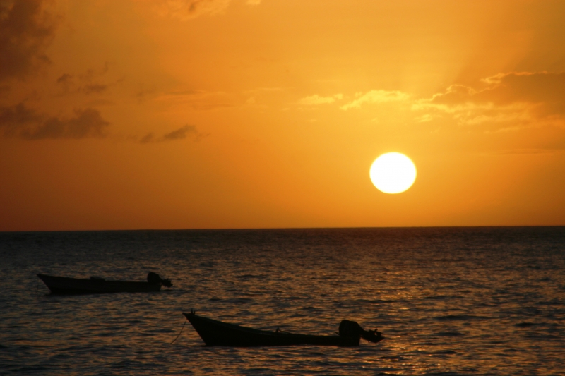 Tobago - in Castara (22)