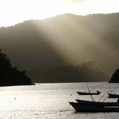 Tobago - Charlotteville (10)