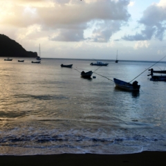 Tobago - Charlotteville (13)