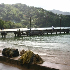 Tobago - Charlotteville (18)
