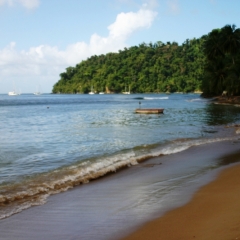 Tobago - Charlotteville (19)