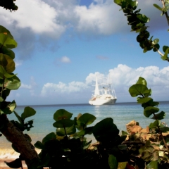 Tobago - Charlotteville (20)