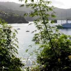 Tobago - Charlotteville (4)