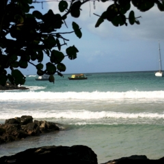 Tobago - Crownspoint (1)