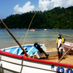 Tobago - Crownspoint (12)