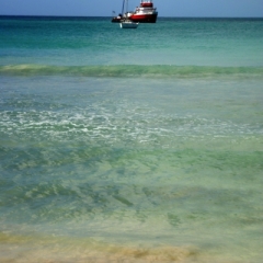 Tobago - Crownspoint (8)