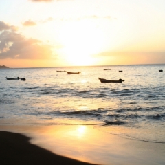 Tobago - in Castara (14)