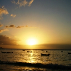 Tobago - in Castara (19)