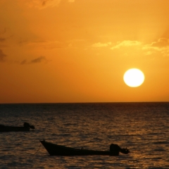 Tobago - in Castara (22)