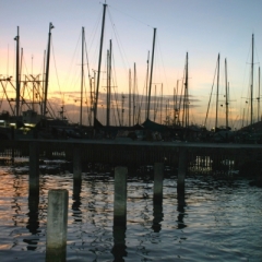 Trinidad - Chaguaramas (5)