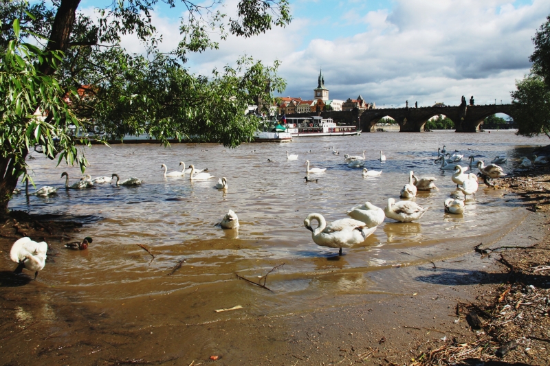 Tsjechie (168)