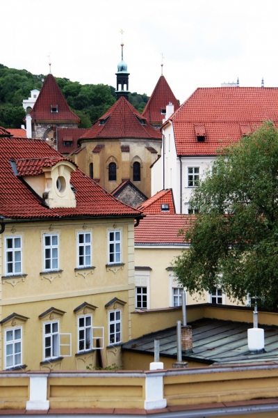 Tsjechie (237)