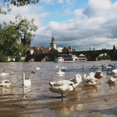 Tsjechie (167)