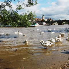 Tsjechie (168)
