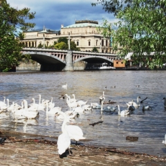Tsjechie (169)
