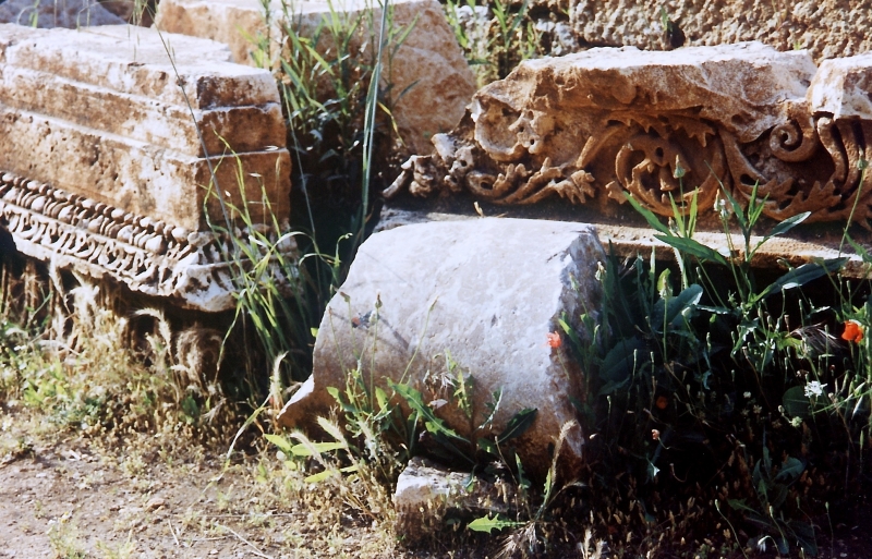 Turkije (23)