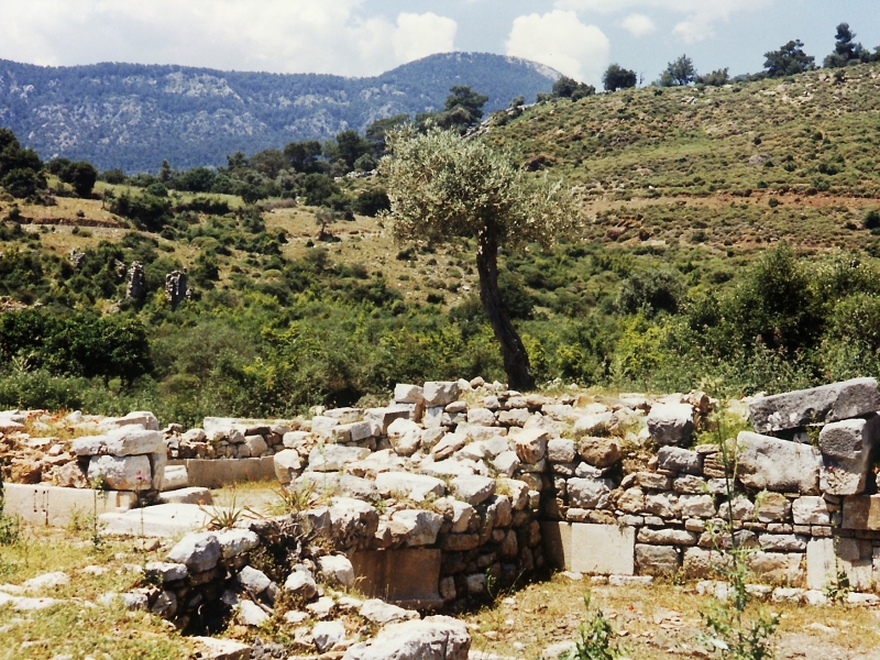 Turkije (36)