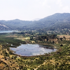 Turkije (31)