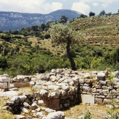 Turkije (36)