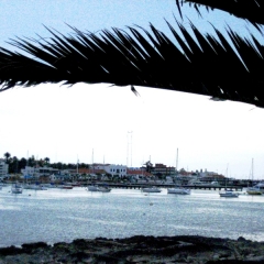 Uruguay (17)