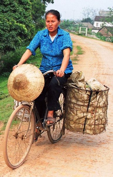 Vietnam (110)