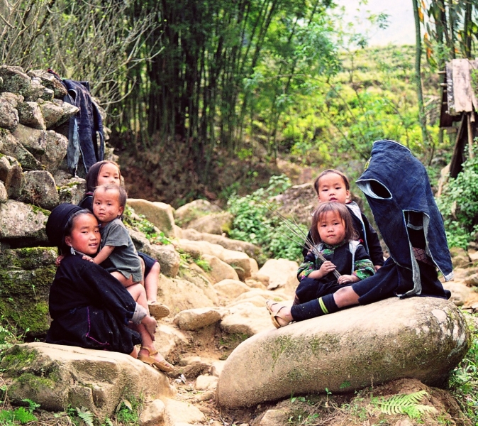 Vietnam (113)