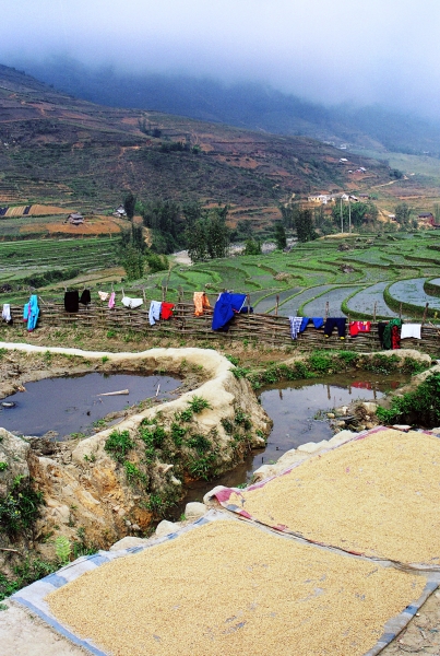 Vietnam (120)