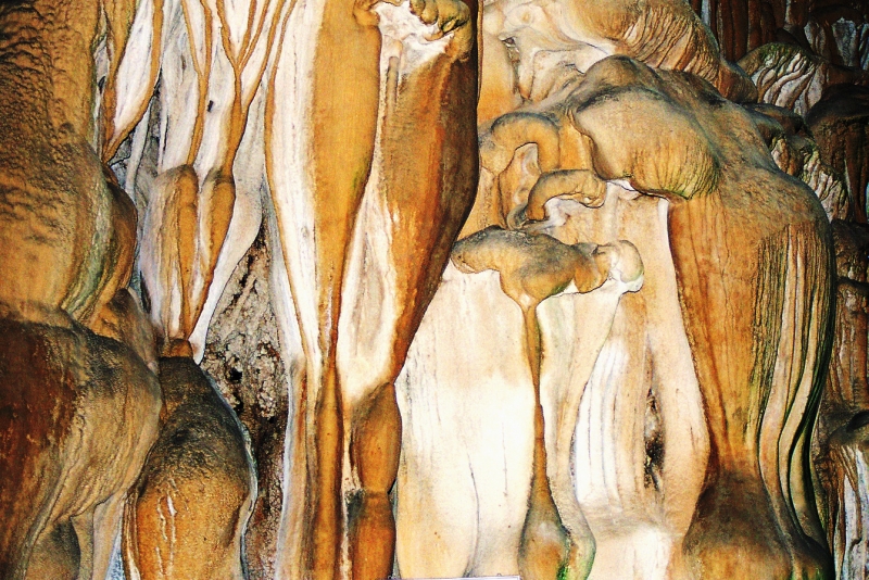 Vietnam (128)