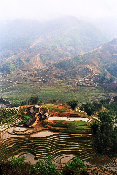 Vietnam (28)