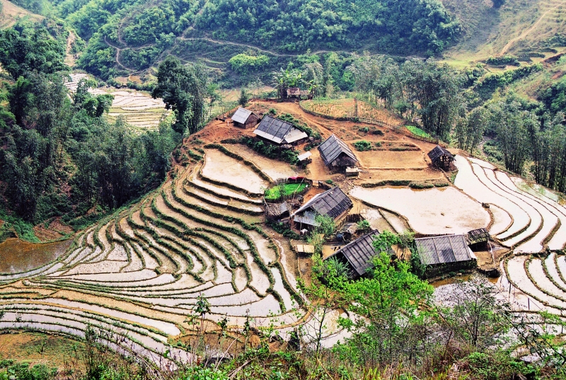 Vietnam (34)