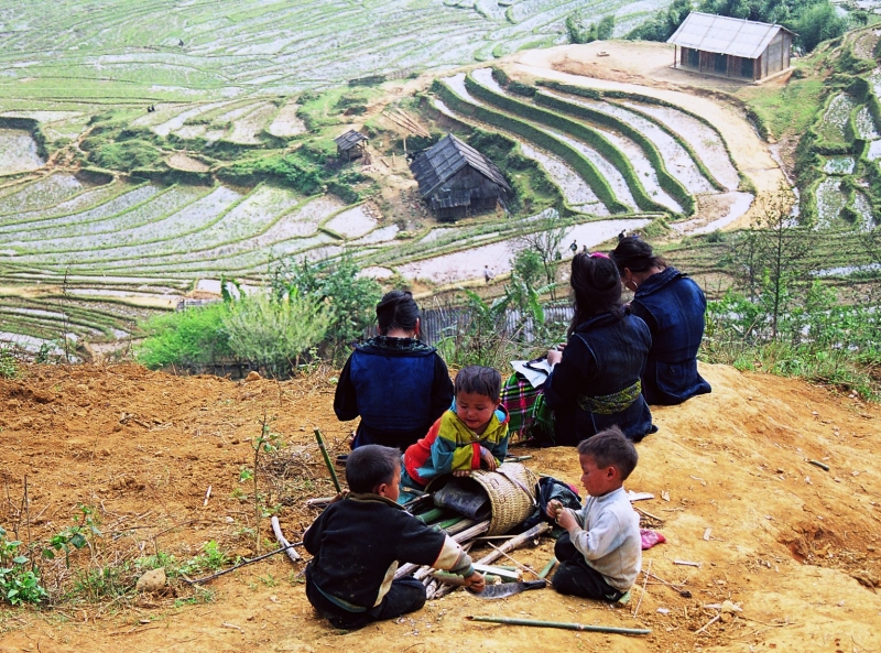 Vietnam (44)