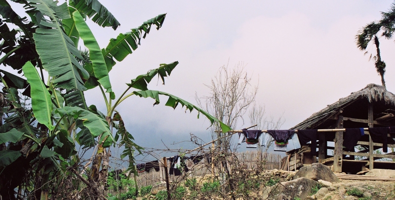 Vietnam (45)