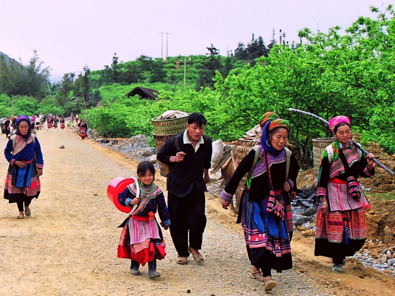 Vietnam (52a)