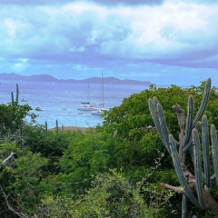 Virgin-Island-Gorda-53