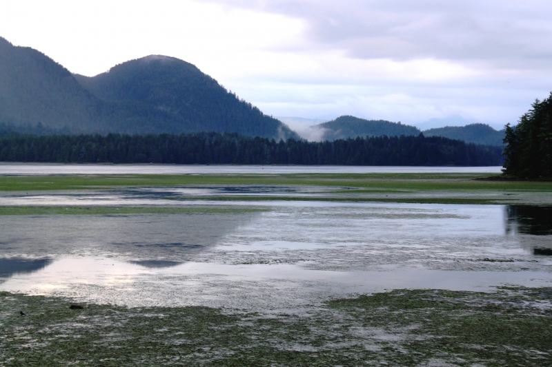 West Canada (113)