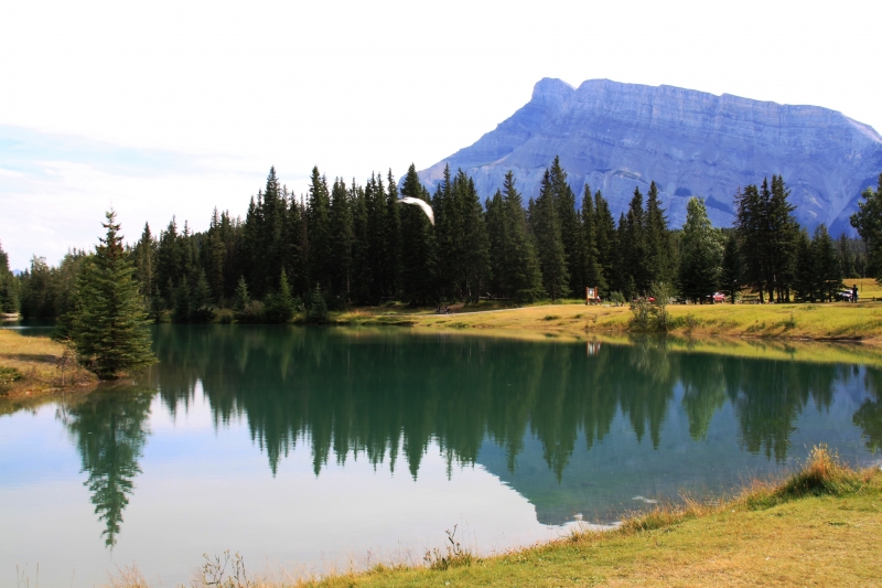 West Canada (17)