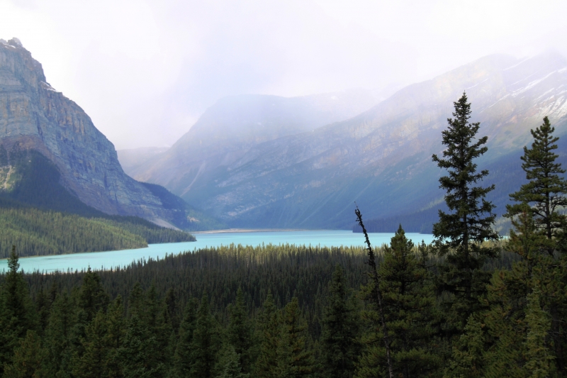 West Canada (38)