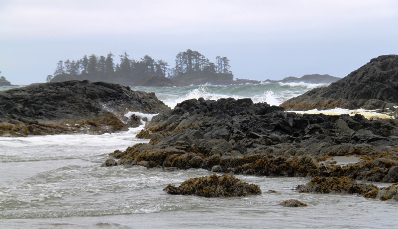 West Canada (74)