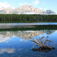 West Canada (11)