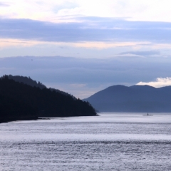 West Canada (46)