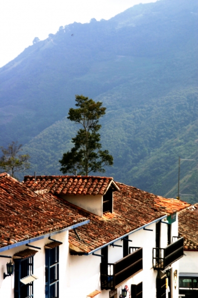 West Venezuela (70)