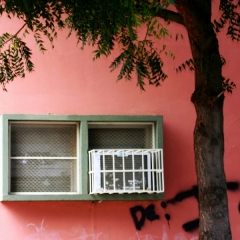 West Venezuela (7)