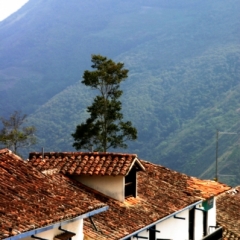 West Venezuela (70)