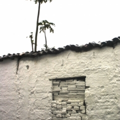 Zuid Colombia (9)
