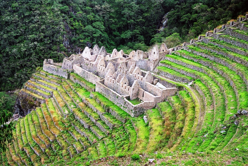 Zuid Peru (311)