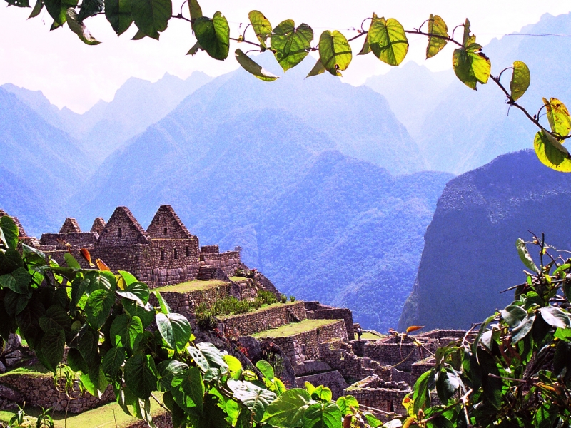 Zuid Peru (317)